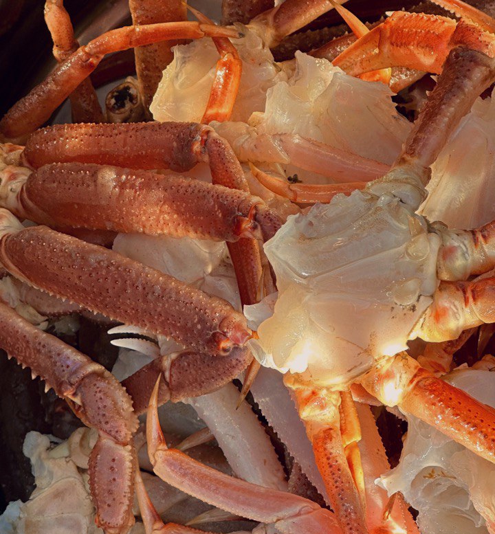 Майские каникулы на Камчатке