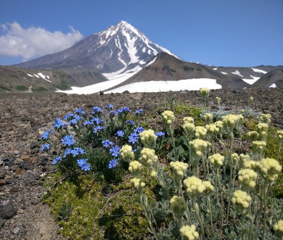 Подножие Авачинского вулкана